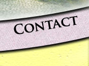 Contact Page Button